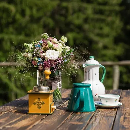 Casa vacanze Moosbacher-huette