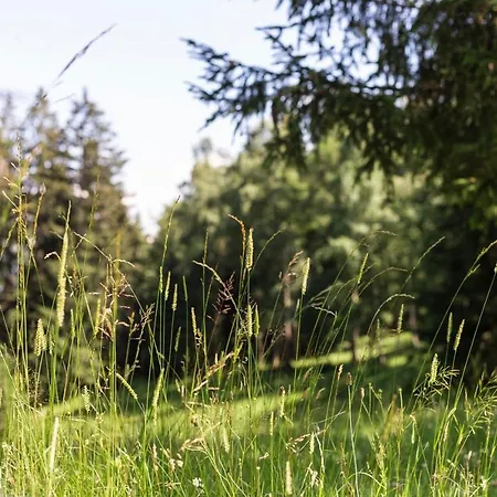 Casa vacanze Moosbacher-huette Aichberg