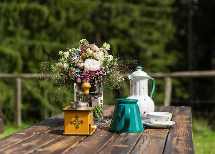 Dom wakacyjny Moosbacher-huette