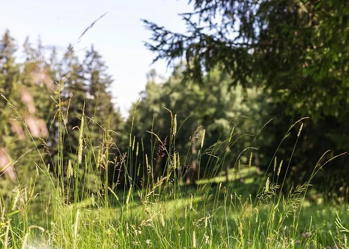 Dom wakacyjny Moosbacher-huette Aichberg